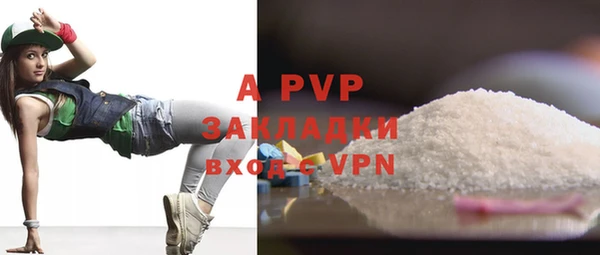соль ск Алексин