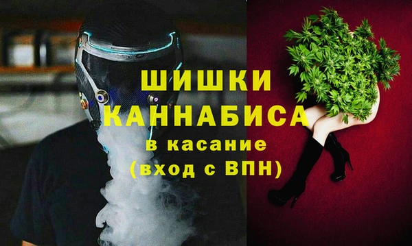 соль ск Алексин