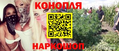 индика Будённовск