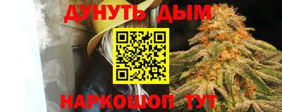 индика Будённовск