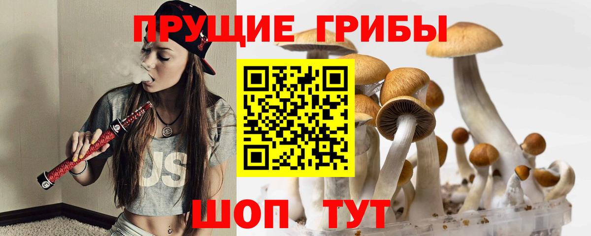 Галлюциногенные грибы ЛСД Карачаевск