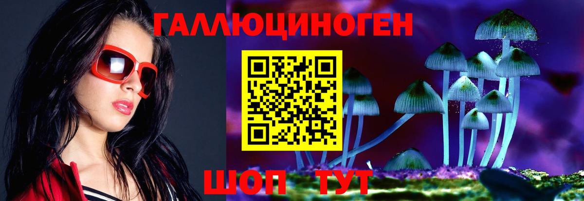 Галлюциногенные грибы мухоморы  Вход с VPN  Галлюциногенные грибы Psilocybine cubensis  Карачаевск 